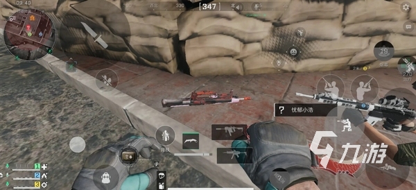 的约基奇 的约基奇